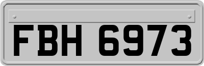 FBH6973