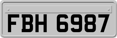 FBH6987