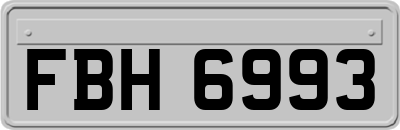 FBH6993