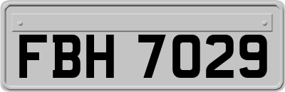 FBH7029