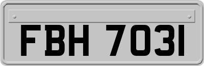 FBH7031
