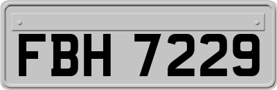 FBH7229
