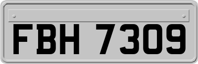 FBH7309
