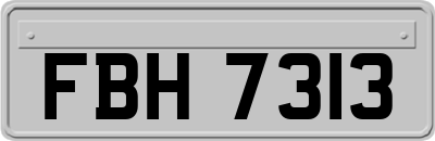 FBH7313