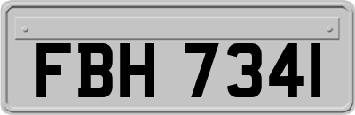 FBH7341
