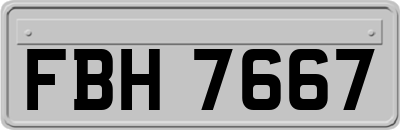 FBH7667