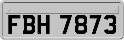 FBH7873