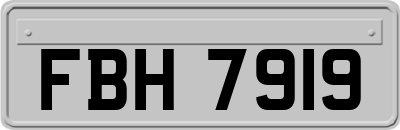 FBH7919