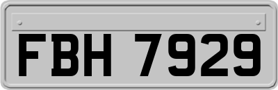 FBH7929