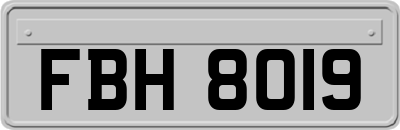 FBH8019