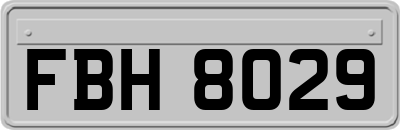 FBH8029