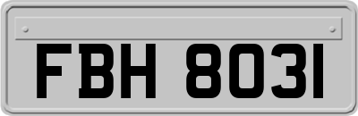FBH8031