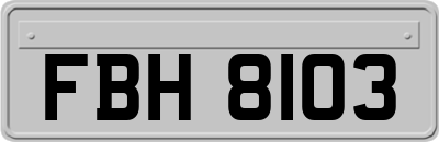 FBH8103