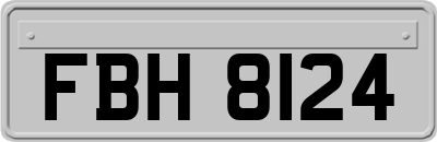 FBH8124