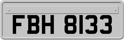 FBH8133