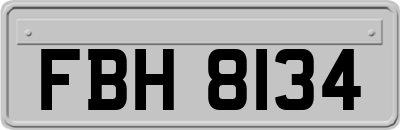 FBH8134