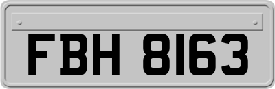 FBH8163