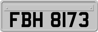 FBH8173