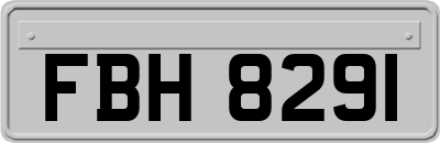 FBH8291
