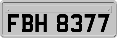 FBH8377
