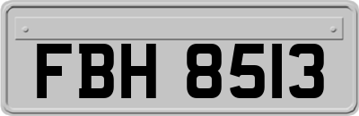 FBH8513
