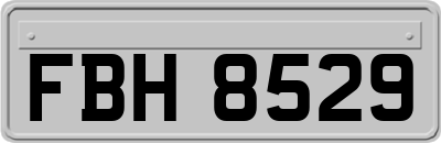 FBH8529