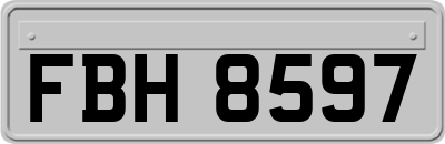 FBH8597