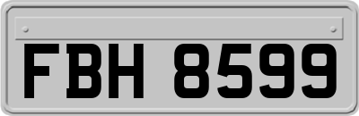 FBH8599