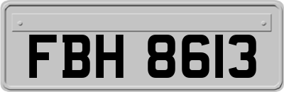 FBH8613