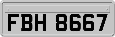 FBH8667