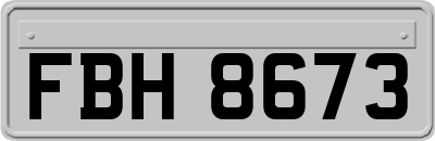 FBH8673