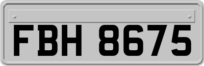 FBH8675