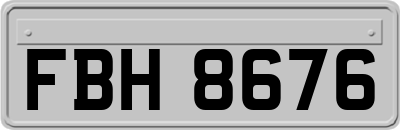 FBH8676