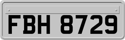 FBH8729