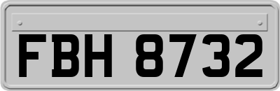 FBH8732