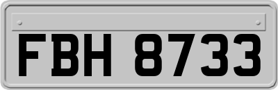 FBH8733