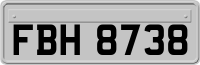 FBH8738