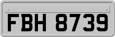 FBH8739