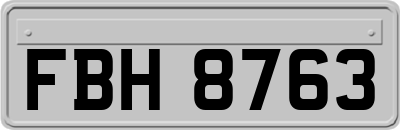 FBH8763