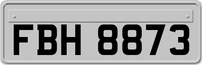 FBH8873