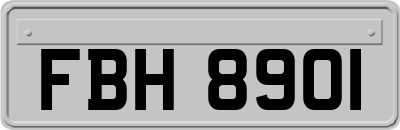 FBH8901