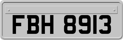 FBH8913