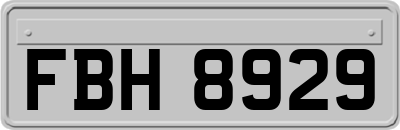 FBH8929