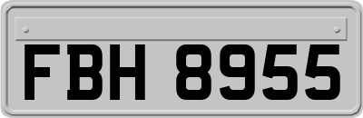 FBH8955