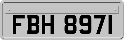 FBH8971