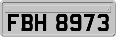 FBH8973