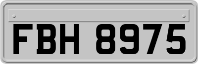 FBH8975