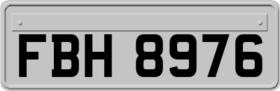 FBH8976