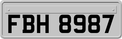 FBH8987