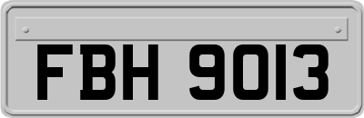 FBH9013